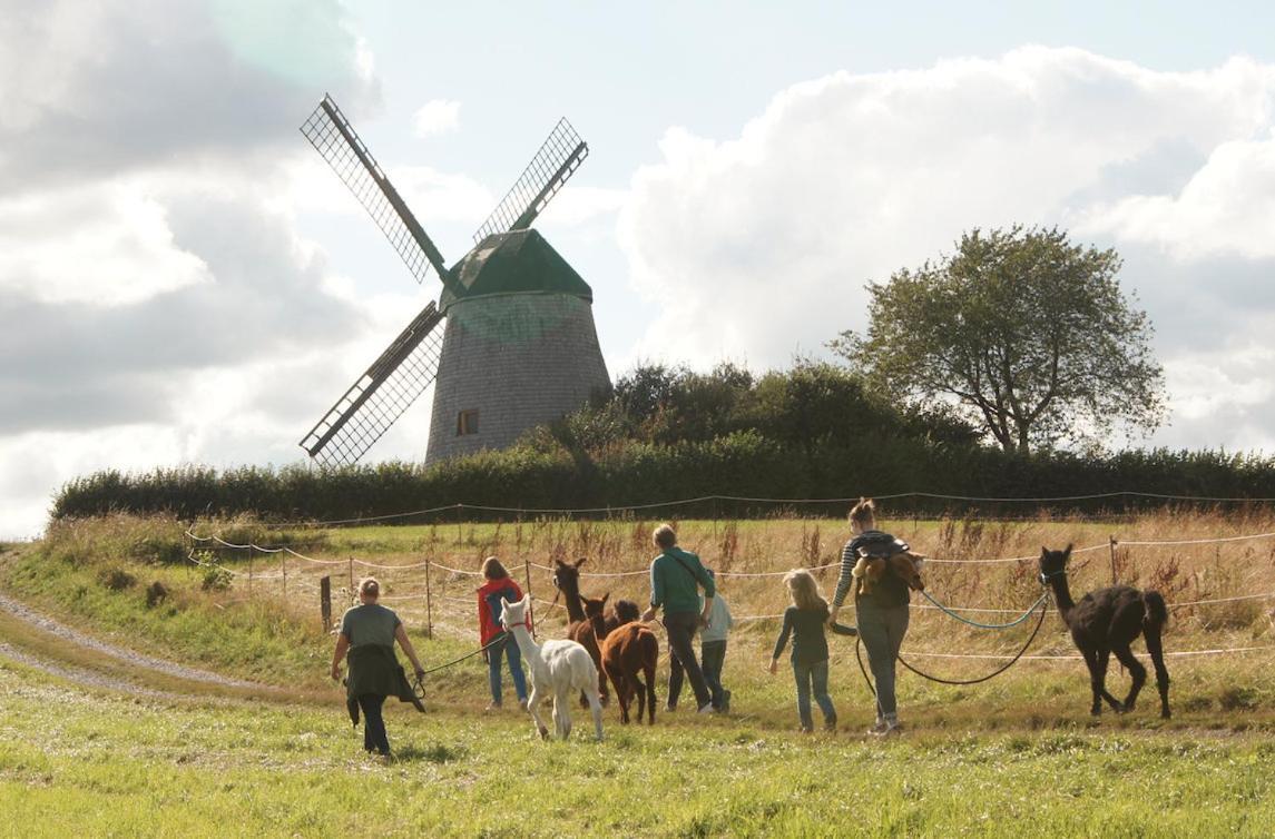Eichenhof Kalletal Eksteriør billede